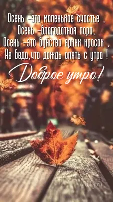 доброе утро в любую погоду# | TikTok