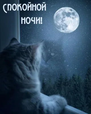 Желаем... - Онлайн - школа иностранных языков Friends School | Facebook