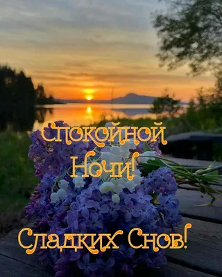 спокойной ночи на немецком языке видео｜TikTok Search