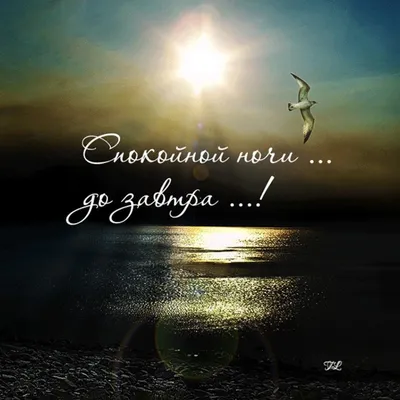 Немецкий язык on Instagram: \"🥳🔥Скидка 50% студентам на групповые курсы  немецкого по предъявлению студенческого. 🎁Аудиокурс в подарок! Места  ограничены. ⚡️Скидка 50% предоставляется ТОЛЬКО при предъявлении  действующего студенческого билета ...