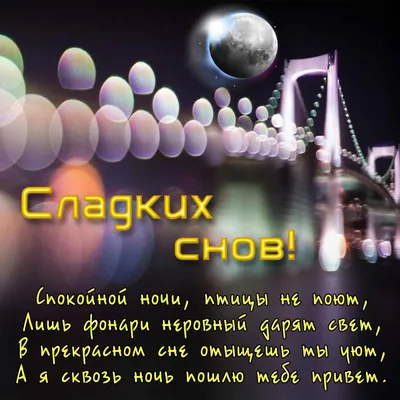 Полезный досуг | Доброй ночи всем! До завтра! #позитив #питомец #шпиц # добройночи | Дзен