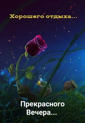 Необычные картинки \"Спокойной ночи!\" (190 шт.)
