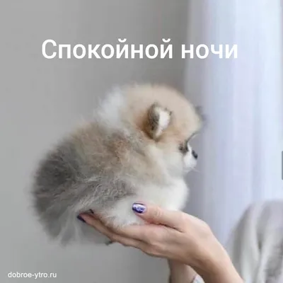 Книга Доброй ночи! Истории и упражнения для легкого засыпания • Хибберд  Джессами и др. – купить книгу по низкой цене, читать отзывы в Topar.uz •  МИФ • ISBN 978-5-00169-779-4