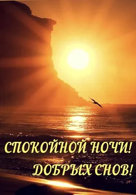 Добрых и крепких снов! Спокойной ночи! - Лента новостей Харькова