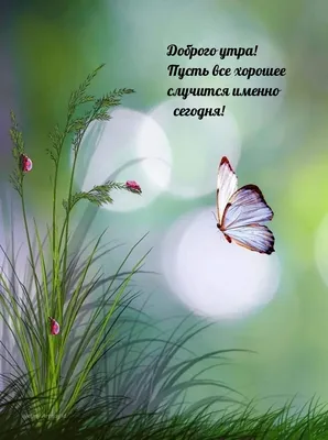 Красивые картинки \"С Добрым Утром!\" (4136 шт.)