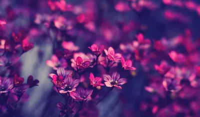 Картинки доброе утро хорошего дня природа необычные с надписями (64 фото) »  Картинки и статусы про окружающий мир вокруг