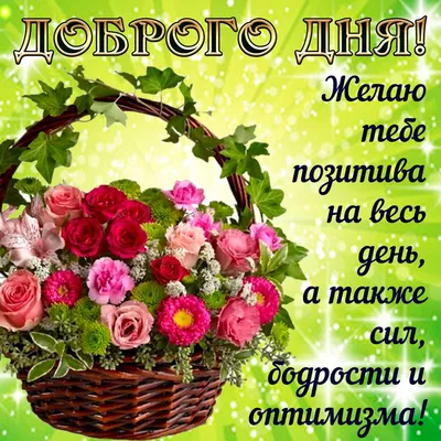 Милые картинки: