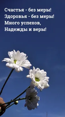 Добрые пожелания на каждый день - 70 фото