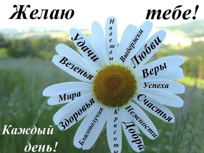 Пожелания открытки на каждый день - фото и картинки abrakadabra.fun