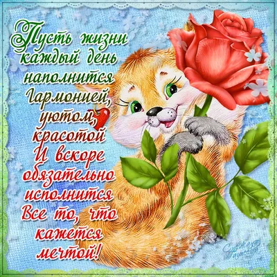 Поздравления на День рождения в прозе - МЕТА