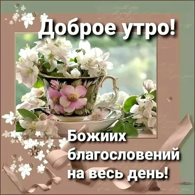 27.09 | ДЕНЬ РОЖДЕНИЯ Инна Алексеевна, все самые добрые слова и пожелания  сегодня для Вас 🌺 | ВКонтакте