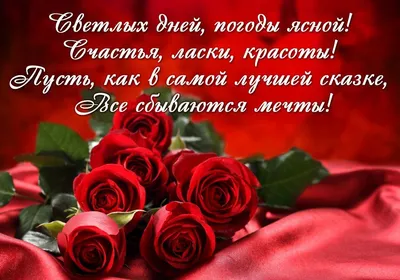 Позитивные открытки \"Доброго дня!\" (232 шт.)