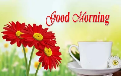 Good Morning - красивые картинки (50 фото) • Прикольные картинки и позитив