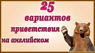 Как выучить английский язык за год: личный опыт читательницы