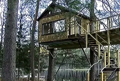 Под Цесисом построили дом на деревьях / Статья