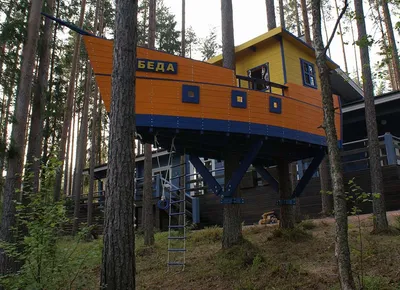 10 самых необычных проектов домов на деревьях | AD Magazine
