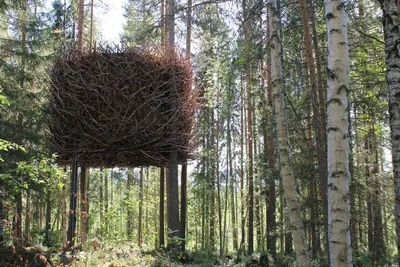 Дом на дереве