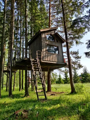 Строительство домиков на деревьях – быстро, надежно | Rope Park