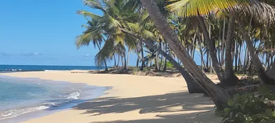 Pin by Lana Chernilevskaia STUDIO on Татьяна Гаваи | Island wallpaper, Top  10 beaches, Beach wallpaper