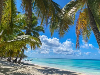 Dominican Culture Wallpapers - Wallpaper Cave