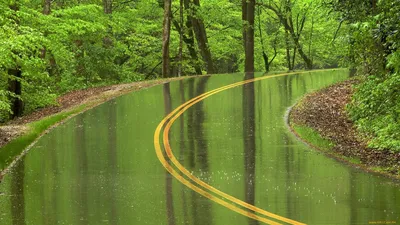 Обои Природа Дороги, обои для рабочего стола, фотографии природа, дороги,  дорога, дождь Обои для рабочего стола, скачать обои картинки заставки на рабочий  стол.