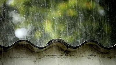 Дождь. Обои на рабочий стол (29 шт.) | Summer rain, Flower pictures, Cute  flower images
