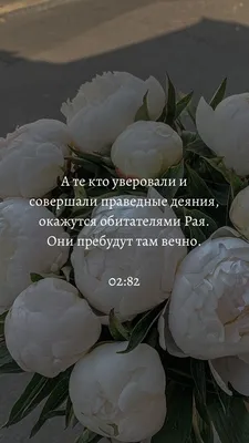 Пин от пользователя Elif Darty на доске Mes enregistrements | Ислам,  Душевные цитаты, Цитаты из корана