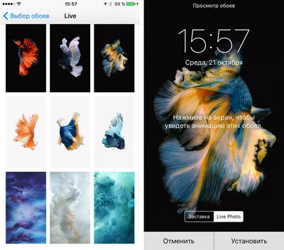 Ставим «живые обои» на все модели iPhone