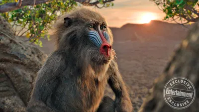 HD фото Джона Фавро в формате GIF: захватывающие моменты в движении