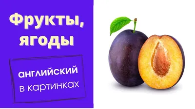 Книга Школьная Книга Первое знакомство с английским языком Я и моё тело  Семья Одежда Еда Рабочая тетрадь №2 купить по цене 199 ₽ в  интернет-магазине Детский мир