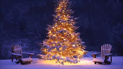 Префектура нагано обои для рабочего стола, картинки и фото