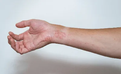 https://dzen.ru/a/ZCxYIsQfLT4881WZ