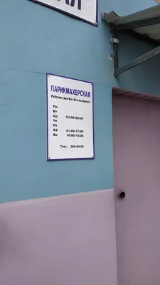 Фон с Еленой Шатровой: создайте атмосферу гламура на вашем устройстве