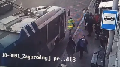 Фото Елены Шульман в изумительном качестве