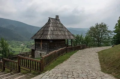 Изображения Эмира Кустурицы: скачивайте их бесплатно в хорошем качестве