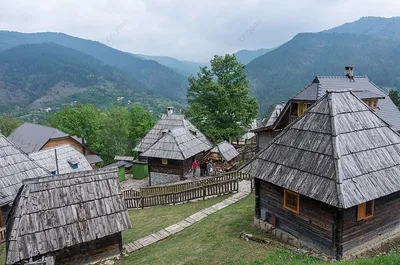 Очарование Эмира Кустурицы через объектив фотокамеры (фото)