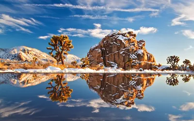 3d картинки на рабочий стол на весь экран (31 лучших фото)
