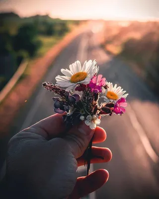 ✨Эстетичные авы✨ | Aesthetics.jkn | Дзен