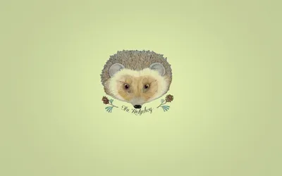 Обои на рабочий стол Нарисованный ежик (The Hedgehog), обои для рабочего  стола, скачать обои, обои бесплатно
