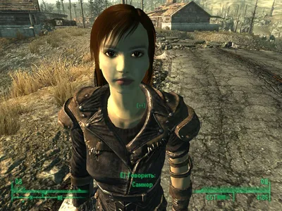 Fallout 3 - Медиа