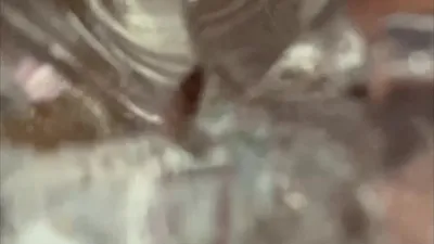 Фотк Фитца вана Тома: идеальное изображение для ваших нужд