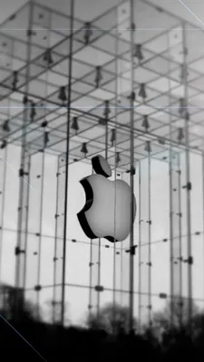 Как включить функцию фонового звука на iPhone, чтобы лучше спать -  Vietnam.vn