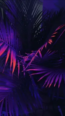 Пин от пользователя Alex на доске Android wallpaper в 2023 г | Фоновые  изображения, Обои для телефона, Обои для мобильных телефонов