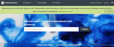 Фоновое изображение сайта (Ушки) - купить готовое решение Битрикс