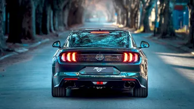 Обои для рабочего стола Ford Mustang Shelby GT500 2019 синих