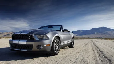 Обои на рабочий стол Черный Ford Mustang / Форд Мустанг на дороге, by  Rostislav Prokop, обои для рабочего стола, скачать обои, обои бесплатно