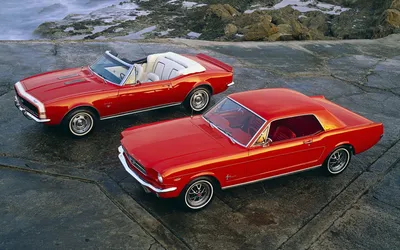 Обои ford, mustang, серый, shelby, gt500, авто картинки на рабочий стол,  фото скачать бесплатно