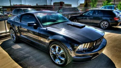Скачать обои и картинки ford, mustang, shelby, gt350, белый, white, здание  для рабочего стола в разрешении 960x1280