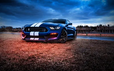 2023 Ford Mustang Dark Horse R - Обои и картинки на рабочий стол | Car Pixel