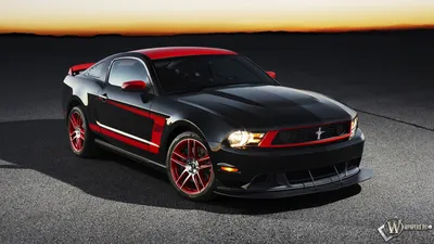 Обои Ford Mustang Shelby GT500 Автомобили -Авто с девушками, обои для рабочего  стола, фотографии ford, mustang, shelby, gt500, автомобили, авто,  девушками, девушка, пустыня, дорога Обои для рабочего стола, скачать обои  картинки заставки